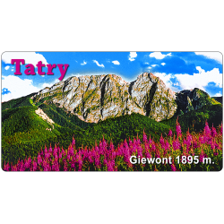 Magnes 98x53 mm TATRY - GIEWONT1895 m.